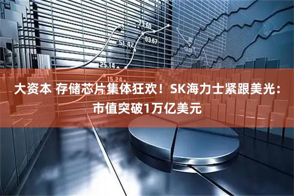 大资本 存储芯片集体狂欢！SK海力士紧跟美光：市值突破1万亿美元