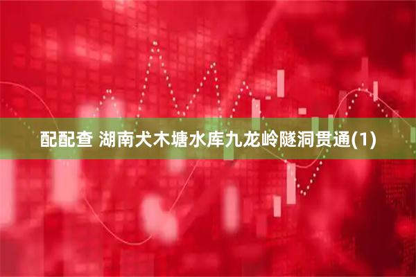 配配查 湖南犬木塘水库九龙岭隧洞贯通(1)