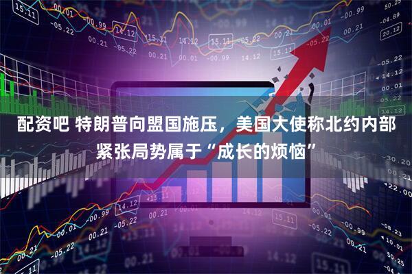 配资吧 特朗普向盟国施压，美国大使称北约内部紧张局势属于“成长的烦恼”